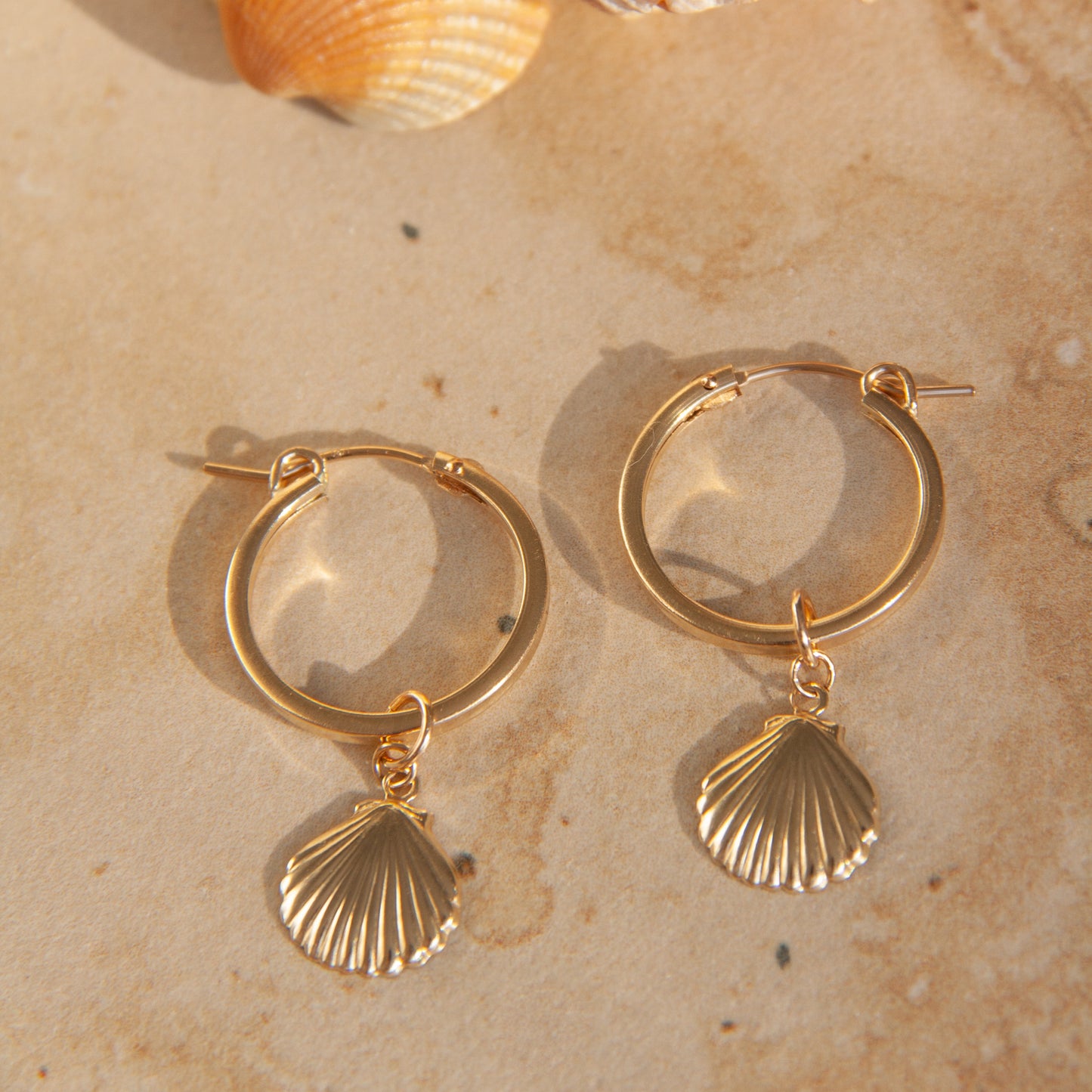 Seashell Earrings