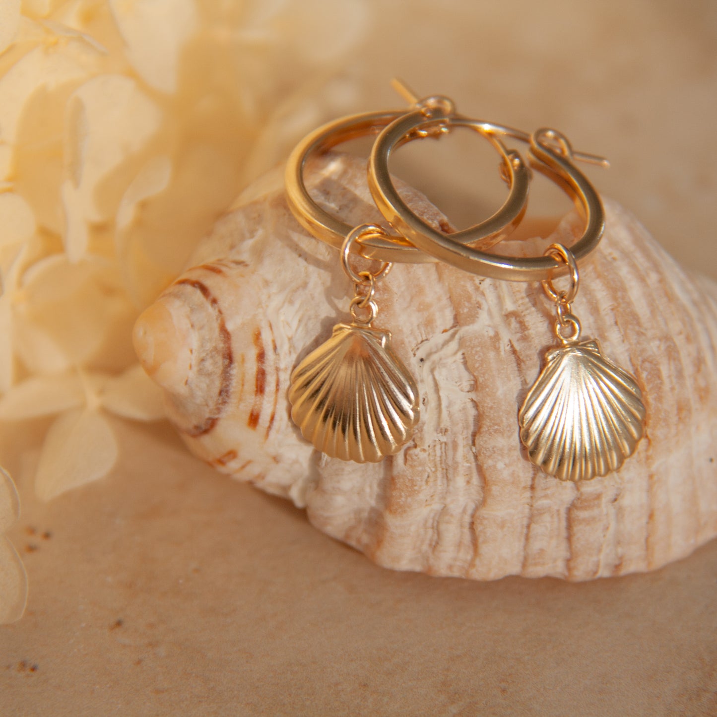 Seashell Earrings