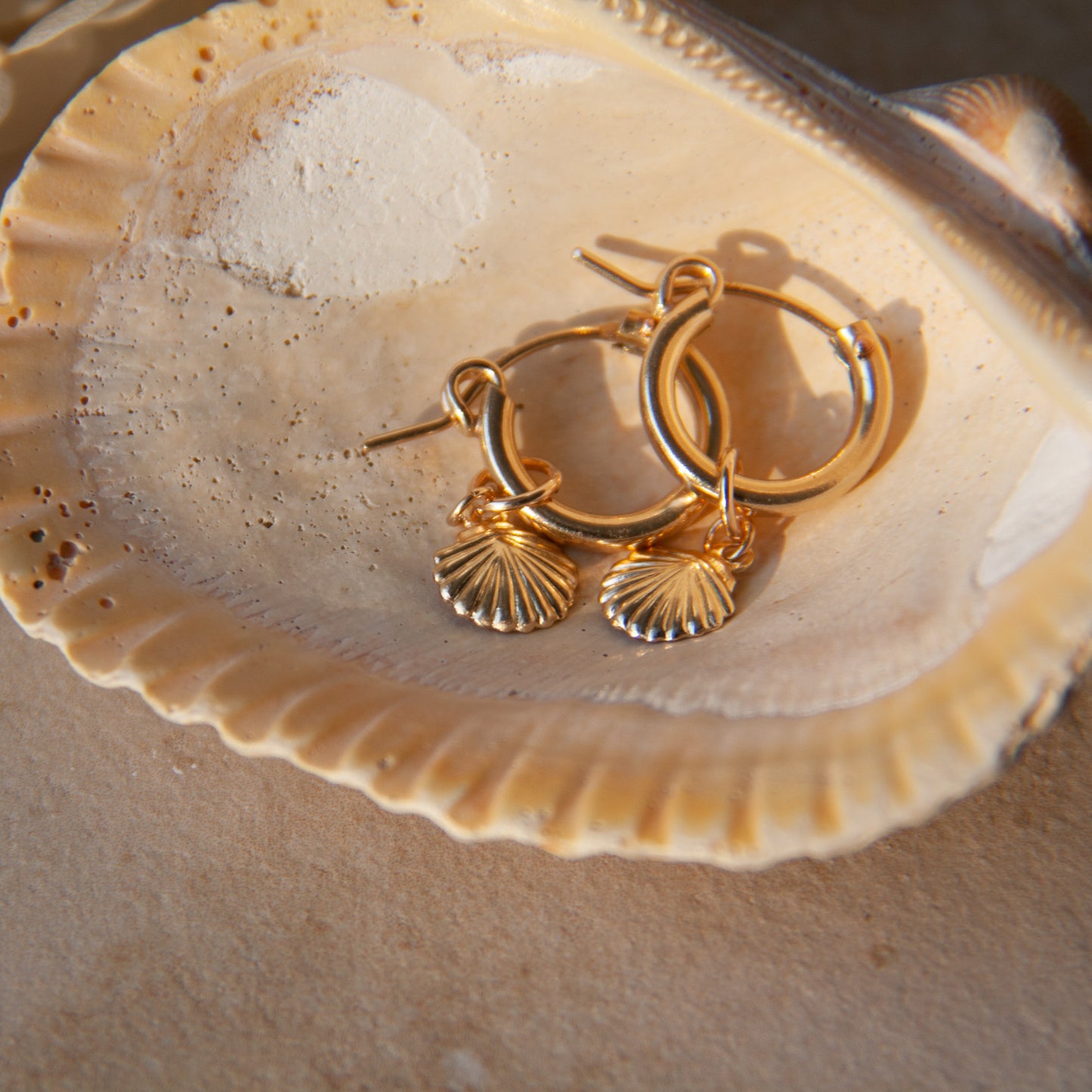 Little Seashell Charm